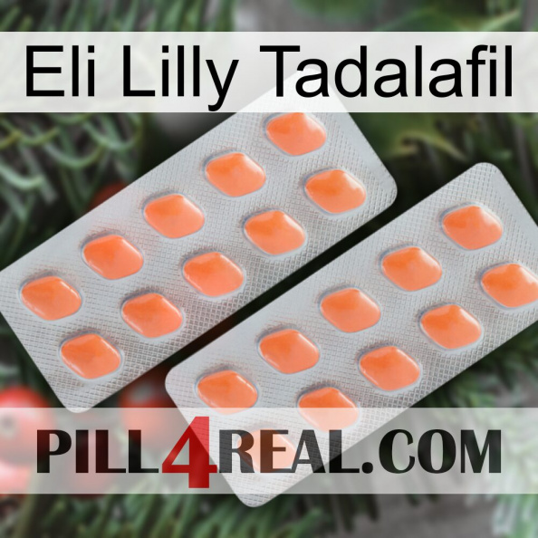 Eli Lilly Tadalafil 27.jpg